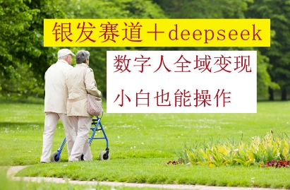 银发赛道+deepseek数字人全域变现，小白也能操作-课程网
