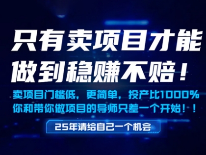 只有卖项目才能做到稳挣不赔，门槛低，更简单，你也可以年入百个W【揭秘】财创网络学堂-引流教程-网赚教程-副业教程-引流技术-副业-网络赚钱项目课程网