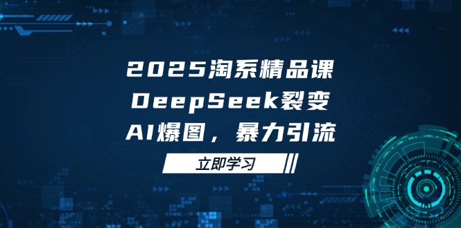 2025 淘系精品课，DeepSeek 裂变，AI 爆图，暴力引流-课程网