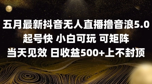 2025五月最新无人直播撸音浪单日产出5张+实操教程【揭秘】财创网络学堂-引流教程-网赚教程-副业教程-引流技术-副业-网络赚钱项目课程网