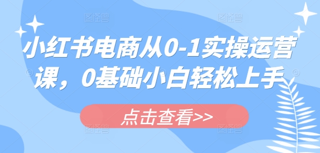 小红书电商从0-1实操运营课，0基础小白轻松上手-课程网