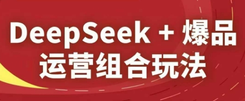DeepSeek+爆品运营组合玩法，2025淘系精品课-课程网