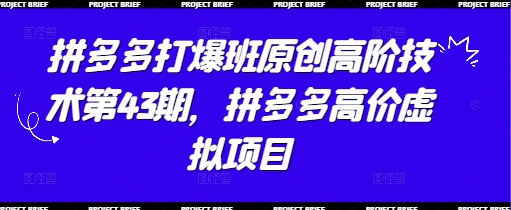 拼多多打爆班原创高阶技术第43期，拼多多高价虚拟项目财创网络学堂-引流教程-网赚教程-副业教程-引流技术-副业-网络赚钱项目课程网