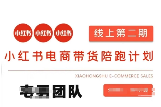 小红书电商带货课2期，月利润20个的小红书电商的有货源，无货源，虚拟产品，付费投流等整套玩法-课程网