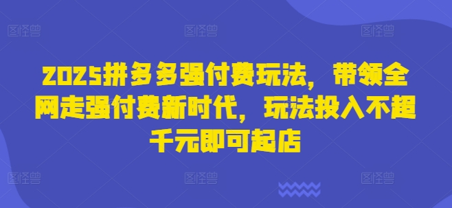 2025拼多多强付费玩法，带领全网走强付费新时代，玩法投入不超千元即可起店-课程网