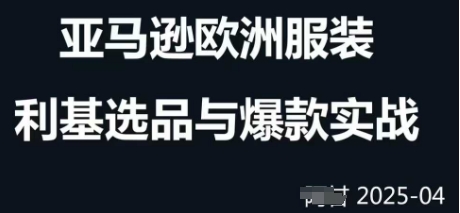 跨境电商选品案例24-25年，聚焦跨境电商选品策略与运营优化，助力卖家挖掘蓝海市场-课程网