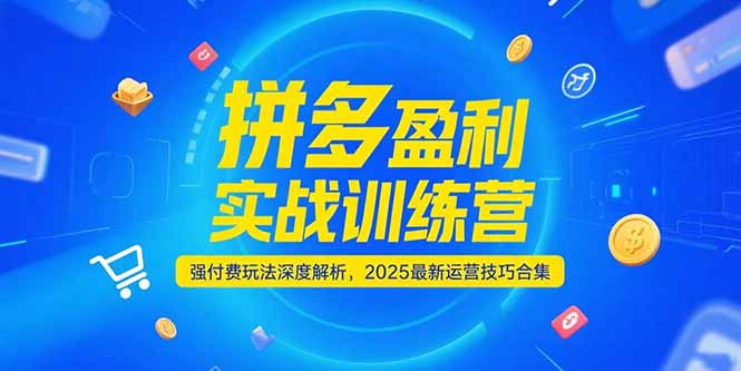 拼多多盈利实战训练营，强付费玩法深度解析，2025运营技巧合集-更新6月财创网络学堂-引流教程-网赚教程-副业教程-引流技术-副业-网络赚钱项目课程网
