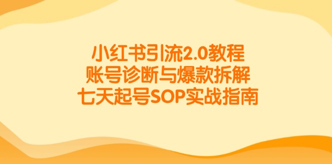 小红书引流2.0教程，账号诊断与爆款拆解，七天起号SOP实战指南财创网络学堂-引流教程-网赚教程-副业教程-引流技术-副业-网络赚钱项目课程网