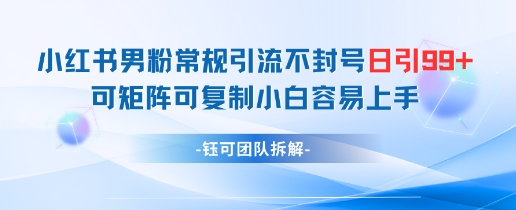 小红书男粉常规引流不封号日引99+变现简单 可矩阵可复制小白容易上手财创网络学堂-引流教程-网赚教程-副业教程-引流技术-副业-网络赚钱项目课程网