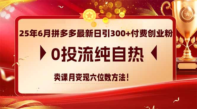 25年6月拼多多最新日引300+付费创业粉，0投流纯自热 卖课月变现六位数方法财创网络学堂-引流教程-网赚教程-副业教程-引流技术-副业-网络赚钱项目课程网
