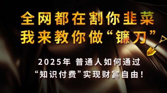 全网都在割你韭菜，我来教你做镰刀，2025普通人如何通过知识付费，实现财F自由【揭秘】-课程网